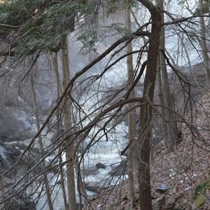 Meet your Posher, Greg